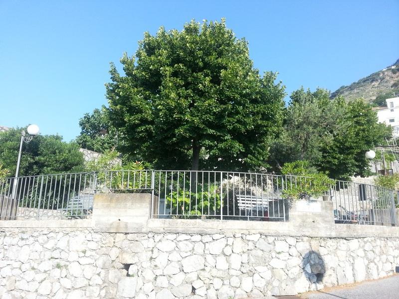 Villa Il Fienile Conca dei Marini Esterno foto
